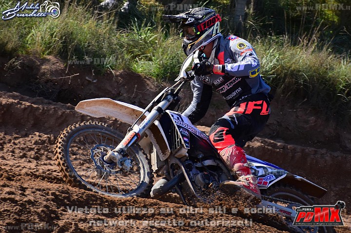 DSC_9315 (Copy).JPG